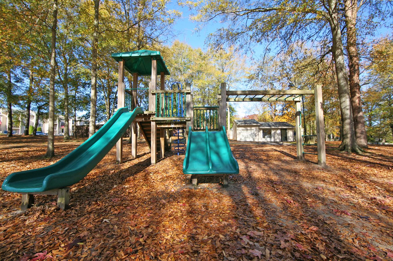 Gallery Photo 29
